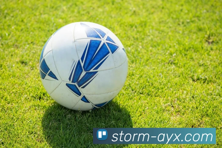 爱游戏APP 封面图